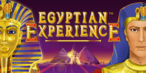 Egyptian Experience