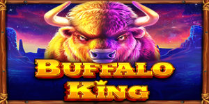 Buffalo King