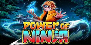 Power of Ninja