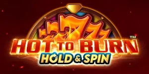 Hot to Burn Hold and Spin™