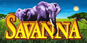 IGTsavanna