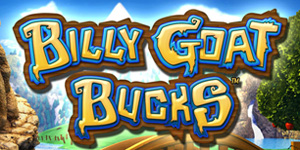 Blly Goat Bucks