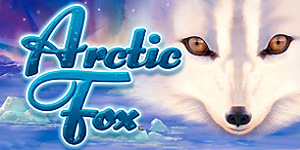 Arctic Fox