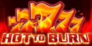 Hot to Burn™