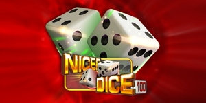Nicer Dice...