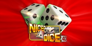 Nicer Dice...