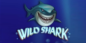 Wild Shark