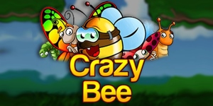 Crazy Bee