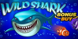 Wild Shark...
