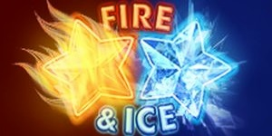 653